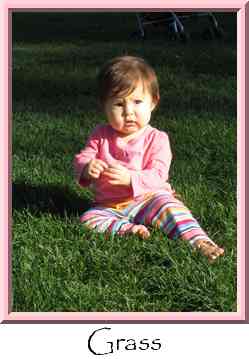 Grass Thumbnail