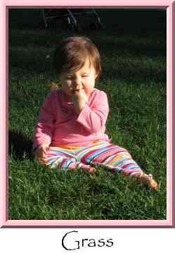 Grass Thumbnail