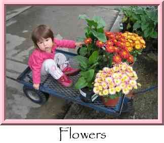Flowers Thumbnail