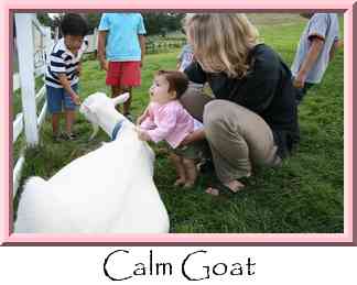 Calm Goat Thumbnail