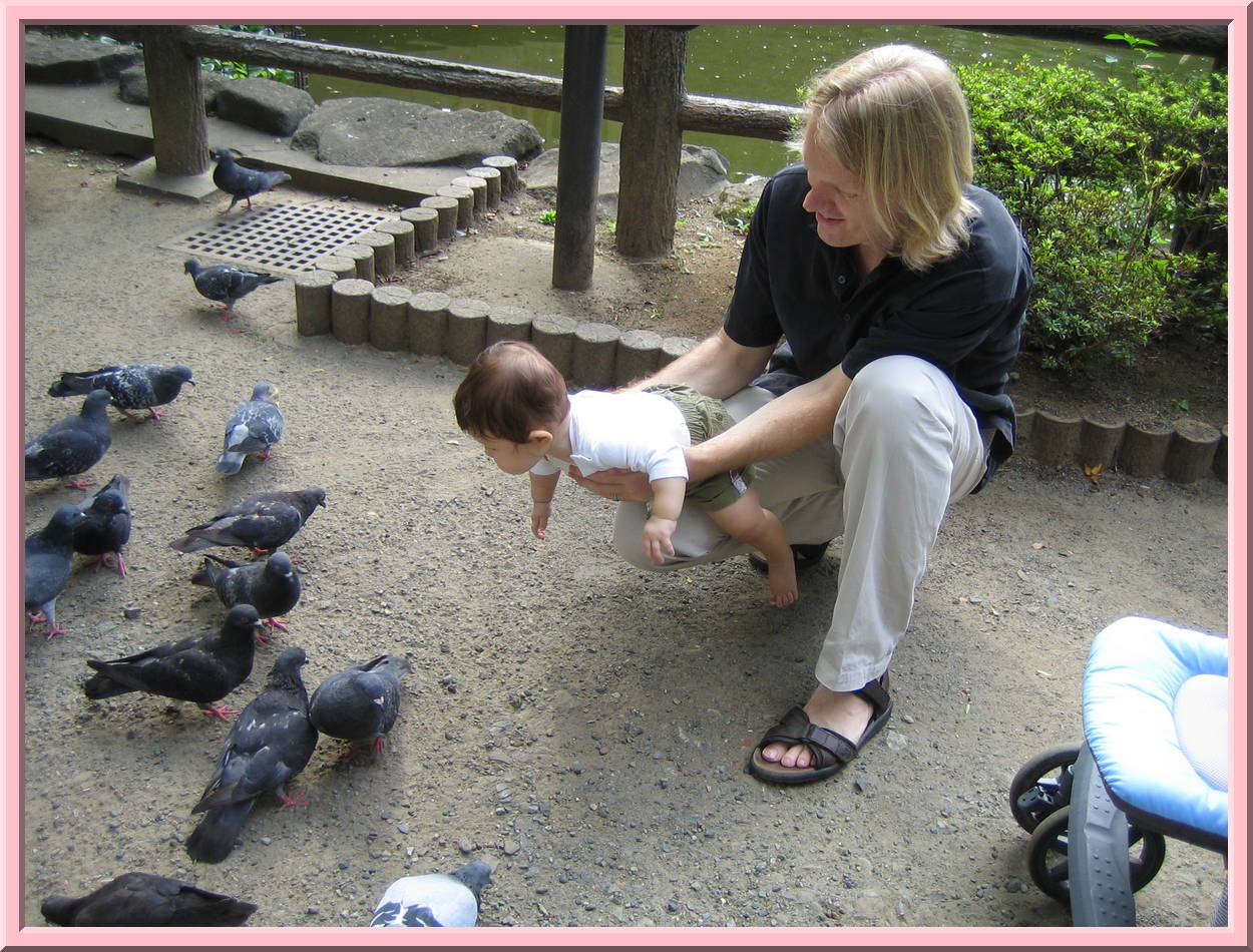 Pigeons