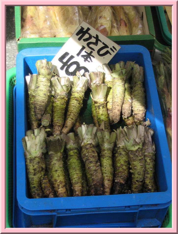 Wasabi