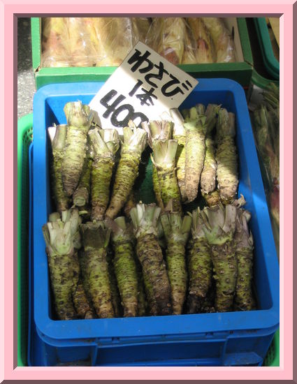 Wasabi