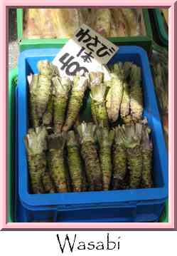 Wasabi Thumbnail