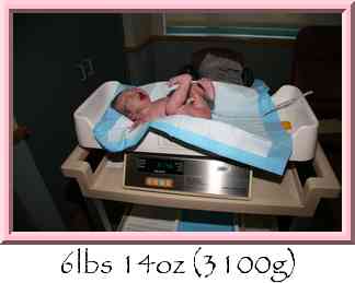 6lbs 14oz (3100g) Thumbnail