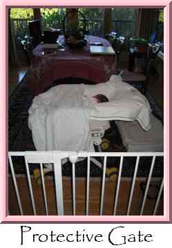 Protective Gate Thumbnail