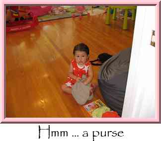 Hmm ... a purse Thumbnail