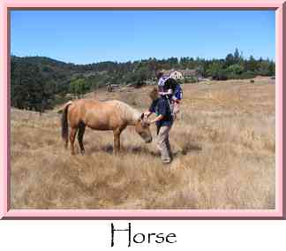 Horse Thumbnail