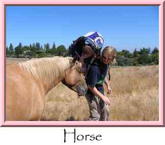 Horse Thumbnail