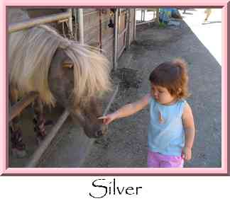 Silver Thumbnail