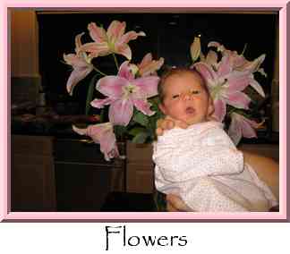 Flowers Thumbnail