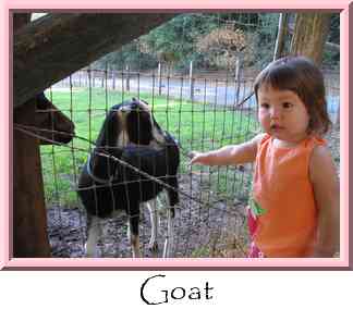 Goat Thumbnail