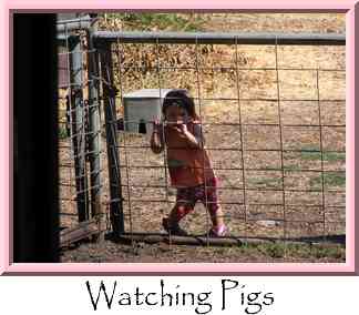 Watching Pigs Thumbnail