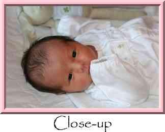 Close-up Thumbnail