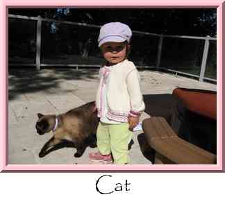 Cat Thumbnail