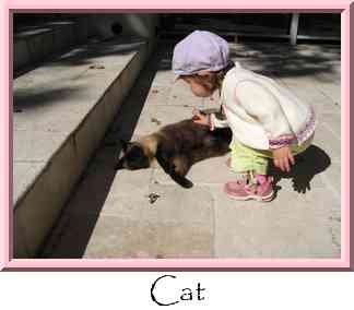 Cat Thumbnail