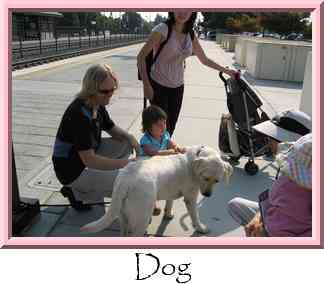Dog Thumbnail
