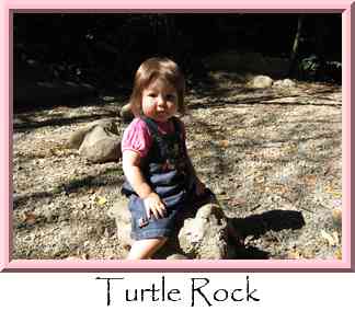 Turtle Rock Thumbnail