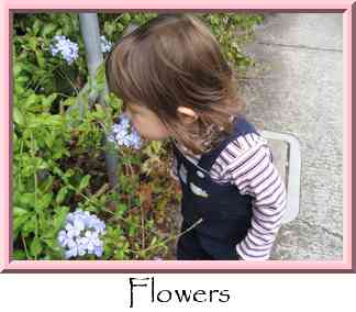 Flowers Thumbnail