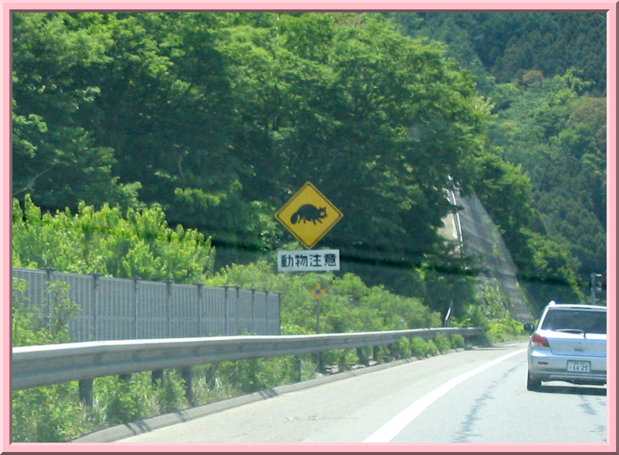 Tanoki Crossing