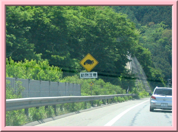 Tanoki Crossing