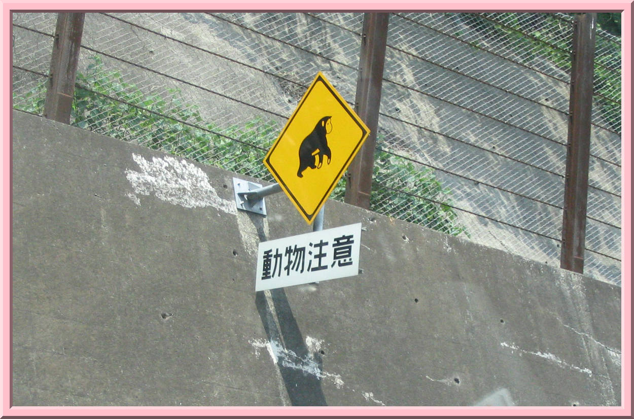 Monkey Crossing