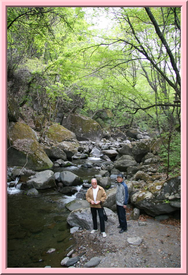 Stream