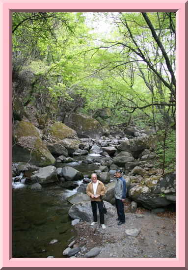 Stream