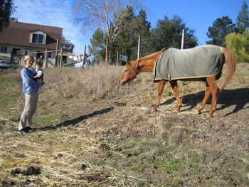 Image 2005-12-10-IXY50-2021.jpg