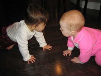 Image 2005-12-17-IXY50-2065.jpg