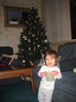 Image 2005-12-20-IXY50-2113.jpg