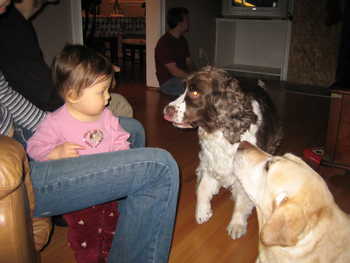 Image 2005-12-23-IXY50-2166.jpg