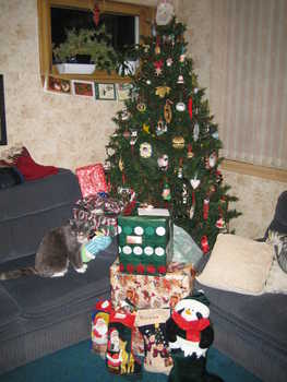 Image 2005-12-25-IXY50-2173.jpg