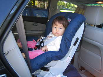 Image 2005-11-05-IXY50-1853.jpg