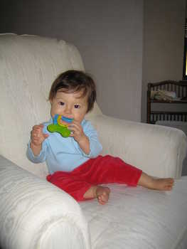 Image 2005-11-08-IXY50-1881.jpg