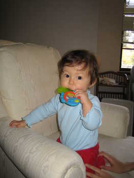 Image 2005-11-08-IXY50-1883.jpg