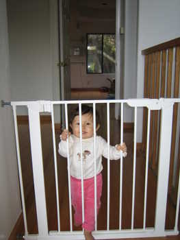 Image 2005-11-12-IXY50-1905.jpg