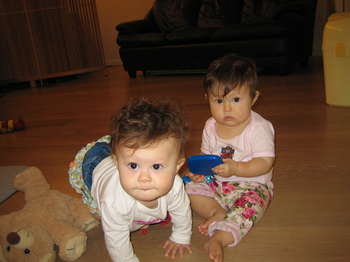 Image 2005-10-03-IXY50-1697.jpg