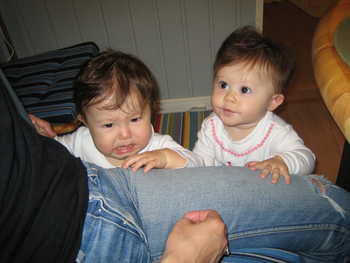 Image 2005-10-19-IXY50-1795.jpg