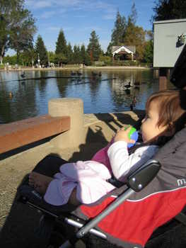 Image 2005-10-28-IXY50-1818.jpg