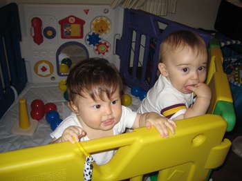 Image 2005-09-23-IXY50-1586.jpg
