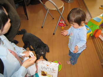 Image 2006-04-05-IXY50-2575.jpg