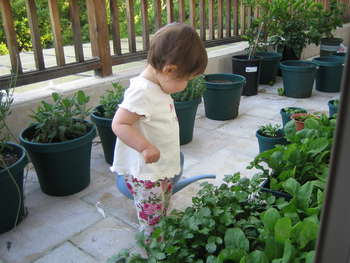 Image 2006-04-21-IXY50-2659.jpg