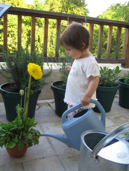 Image 2006-04-21-IXY50-2663.jpg