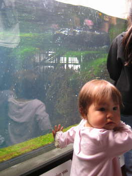Image 2006-04-25-IXY50-2693.jpg