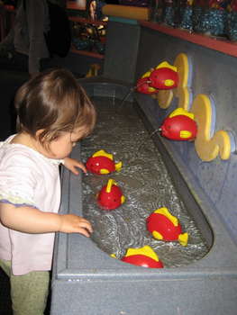 Image 2006-04-25-IXY50-2715.jpg