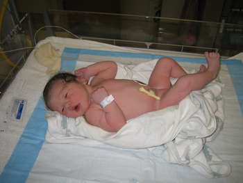Image 2006-08-20-IXY50-3193.jpg