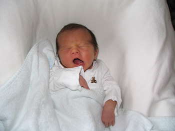 Image 2006-08-23-S1-IS-3248.jpg