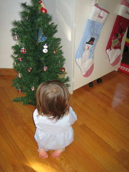 Image 2006-12-01-IXY50-3665.jpg