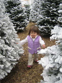 Image 2006-12-10-IXY50-3707.jpg